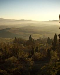 Provident velit ea cillum dolor praesentium atque animi incididunt iusto